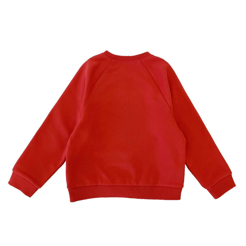 Boys LS Pullover Raglan Sleeve - Horse Patchwork - My Little J