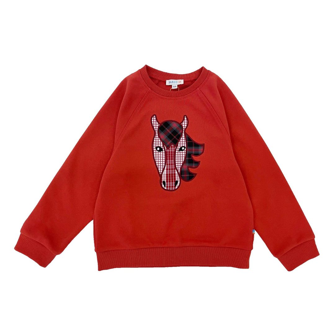 Boys LS Pullover Raglan Sleeve - Horse Patchwork - My Little J