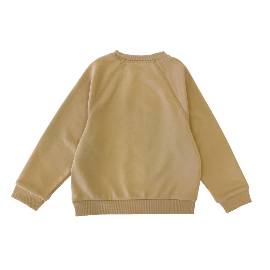 Boys LS Pullover Raglan Sleeve - Horse Patchwork - My Little J