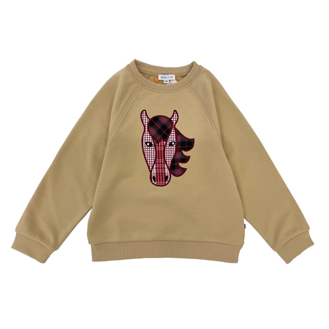 Boys LS Pullover Raglan Sleeve - Horse Patchwork - My Little J