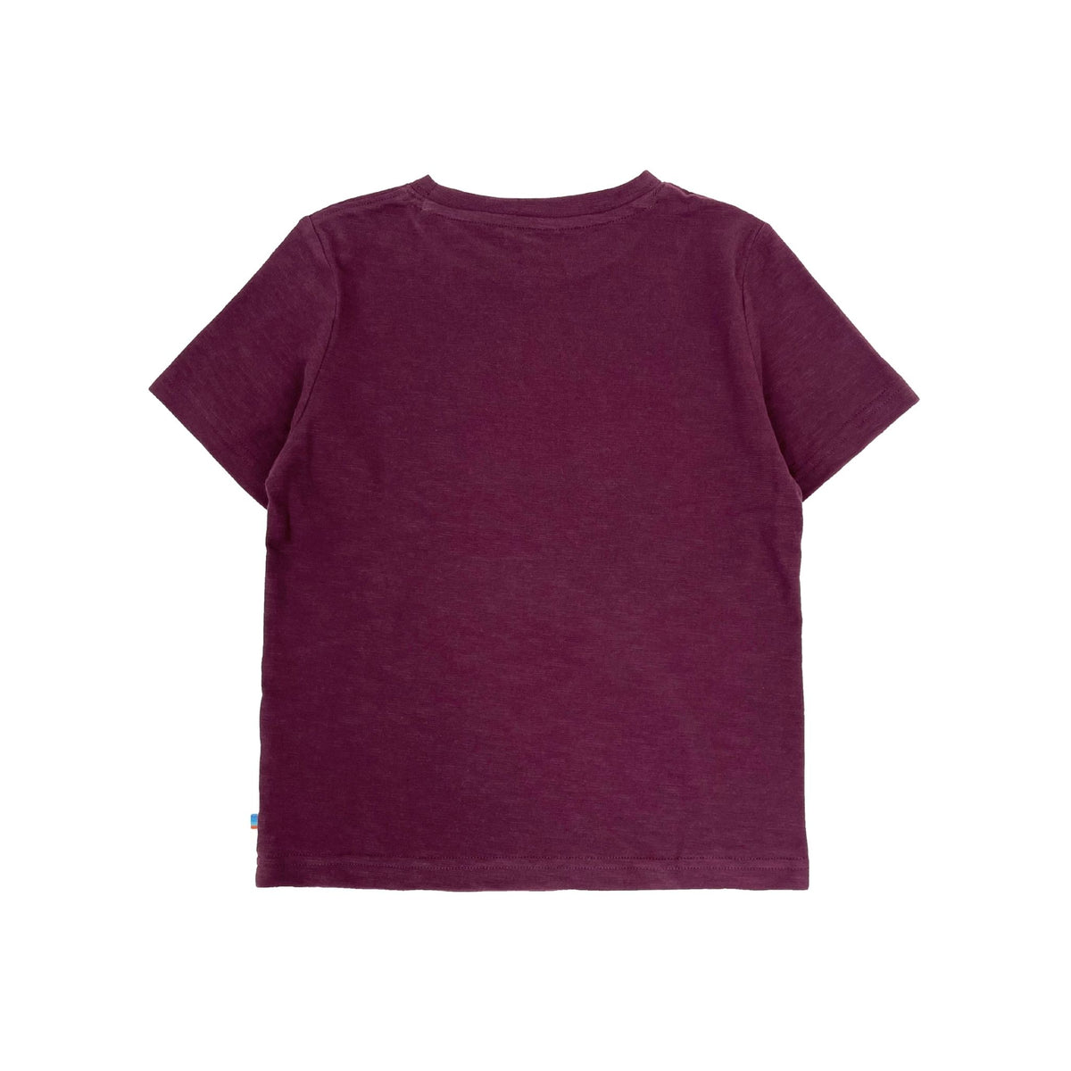 Boys SS Crew Neck Prints Tee - Astronaut