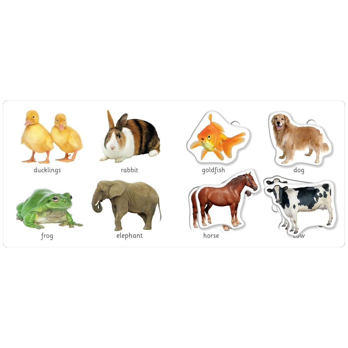 我的第一個學習玩具組 - 動物