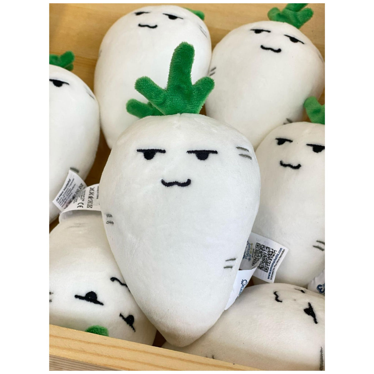 Dreamy Daikon 白日夢