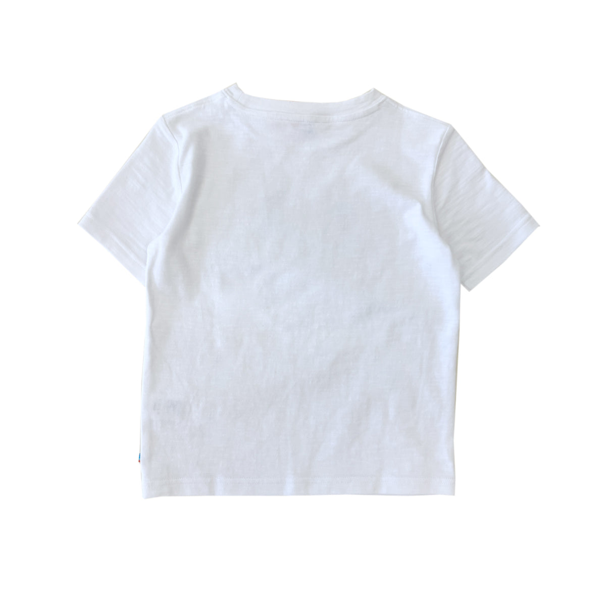 Boys SS Crew Neck Jellyfish Tee