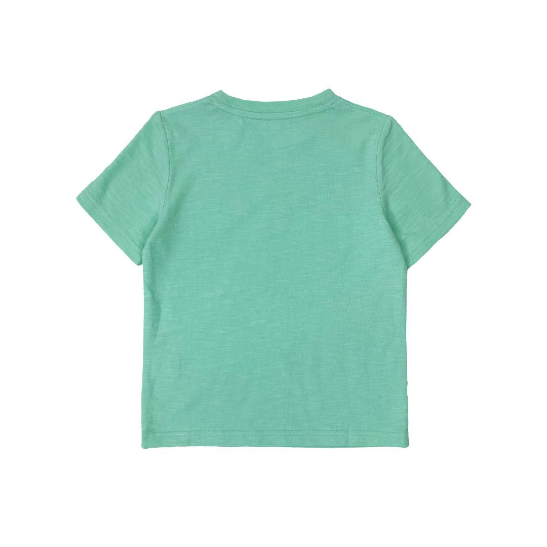 Boys SS Crew Neck Print Tee - Planes - My Little J