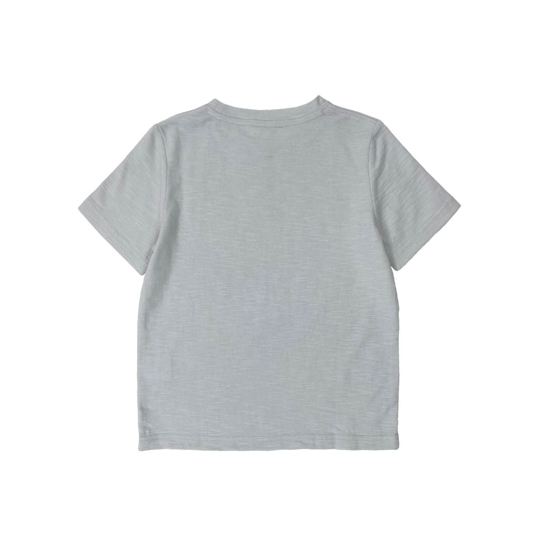 Boys SS Crew Neck Print Tee - Planes - My Little J