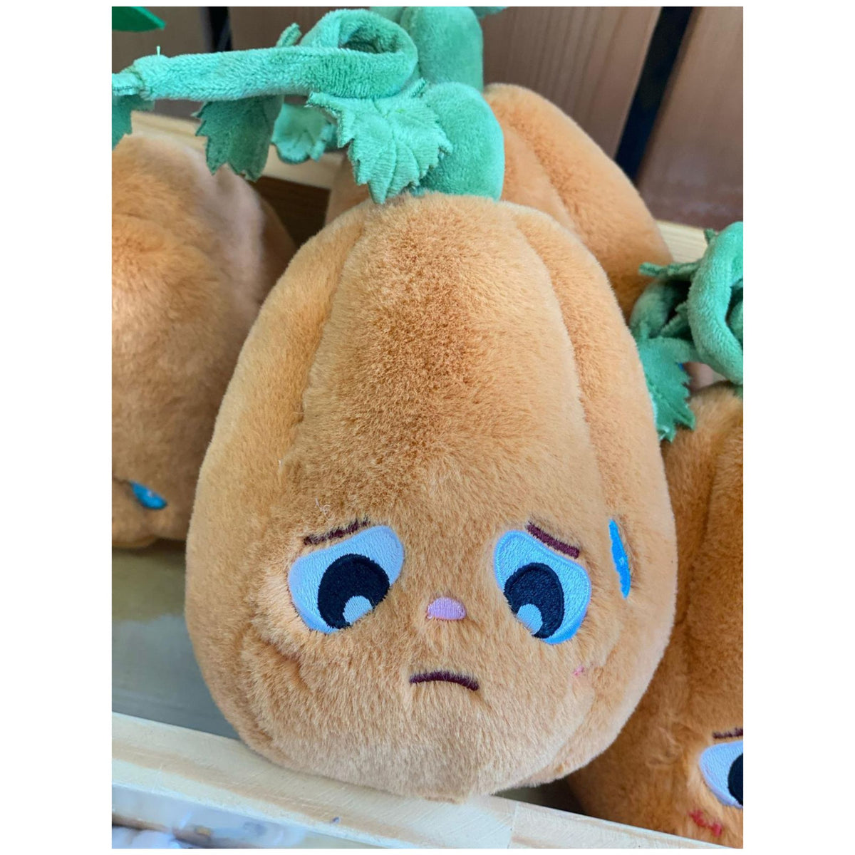 Oopsie Squashy 喃喃瓜