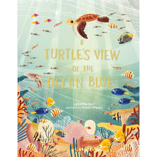 A Turtle's View of the Ocean Blue - My Little J