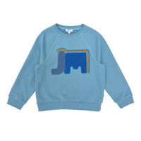 Boy's Elephant embroidery Raglan Sleeve pullover