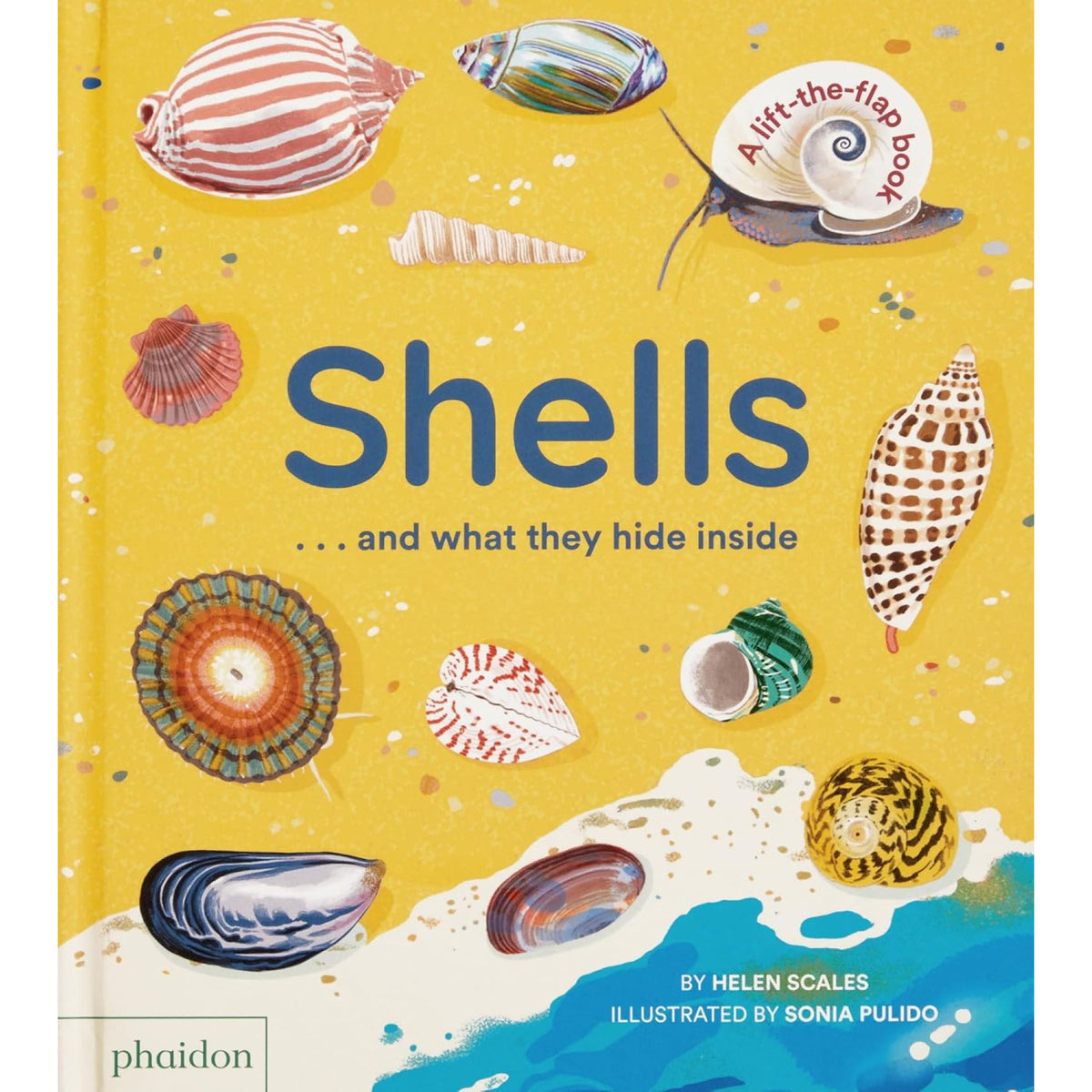 Shells... and what they hide inside - My Little J