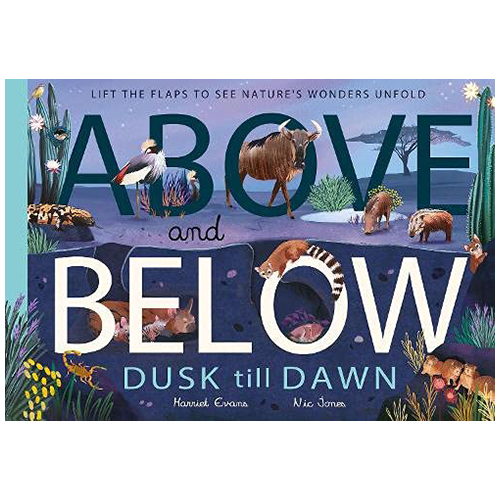 Above and Below: Dusk till Dawn : Lift the flaps to see nature's wonders unfold - My Little J
