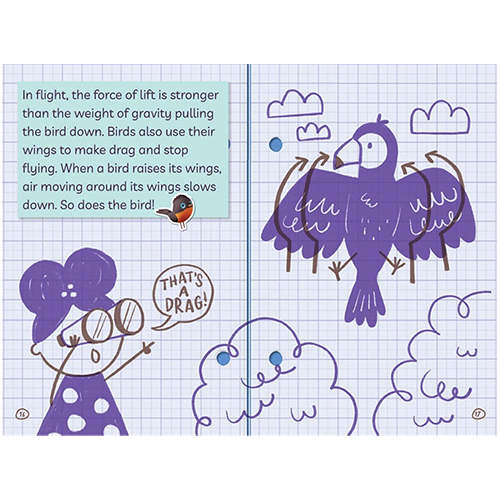 Ada Twist, Scientist: Why Files #1: Exploring Flight! - My Little J