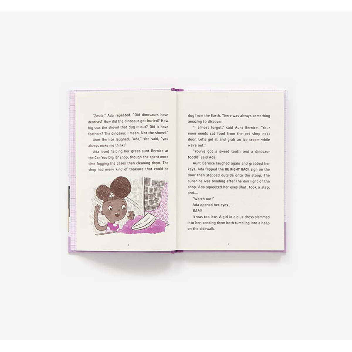Ada Twist and the Disappearing Dogs: (The Questioneers Book #5) - My Little J