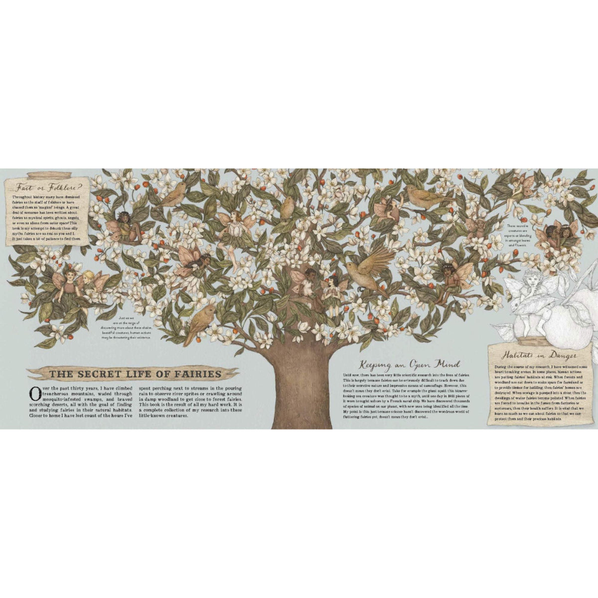 A Natural History of Fairies - My Little J