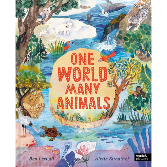 One World, Many Animals - My Little J