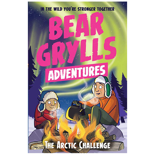 Bear Grylls Adventure Series: The Arctic Challenge