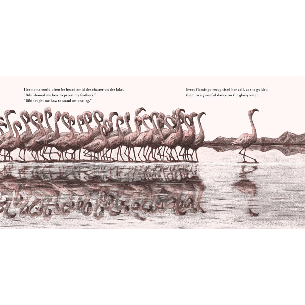 Bibi : A flamingo's tale
