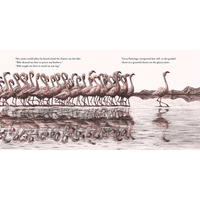 Bibi : A flamingo's tale