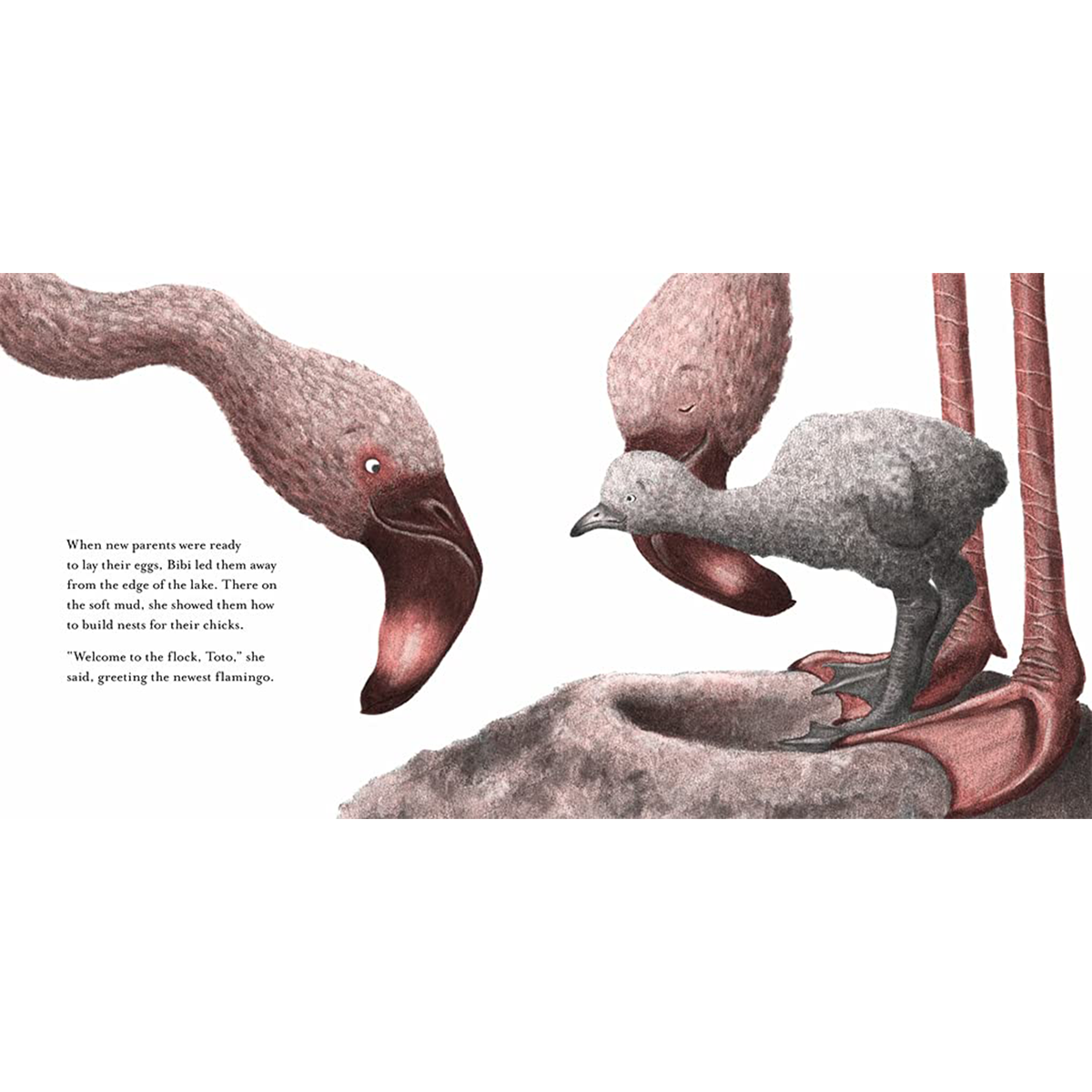 Bibi : A flamingo's tale - My Little J