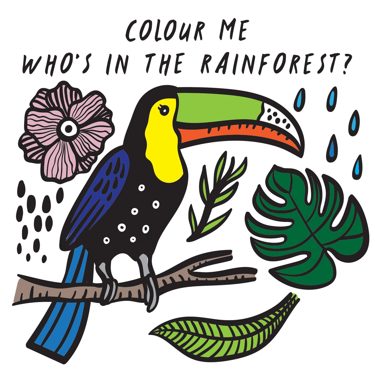 Colour Me: Who's in the Rainforest? : Watch Me Change Colour In Water Volume 3 - My Little J
