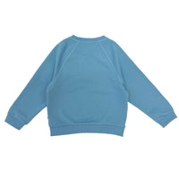 Boy's Elephant embroidery Raglan Sleeve pullover