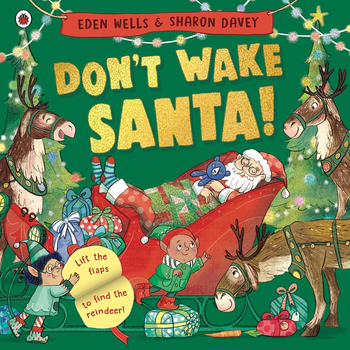 Don't Wake Santa: A lift-the-flap Christmas book - My Little J