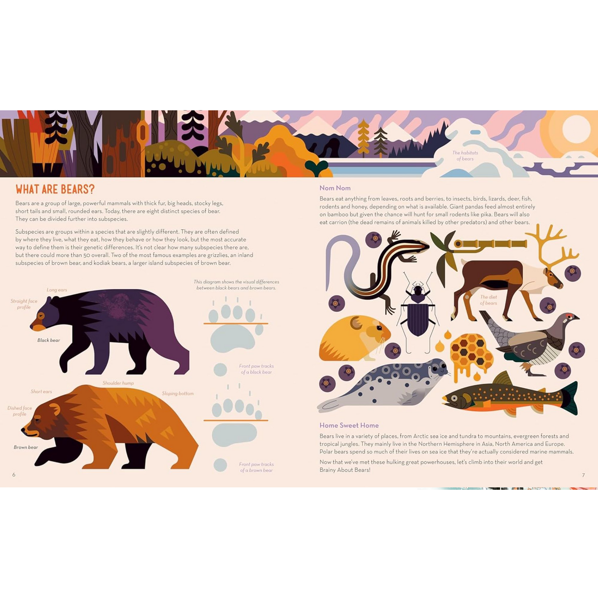 Brainy About Bears - My Little J
