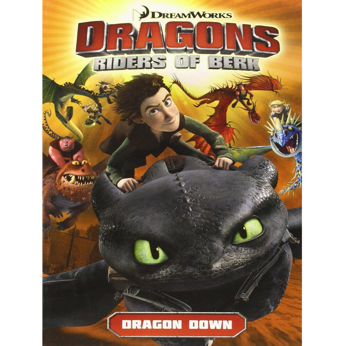 Dragons: Riders of Berk - Volume 1: Dragon Down - My Little J