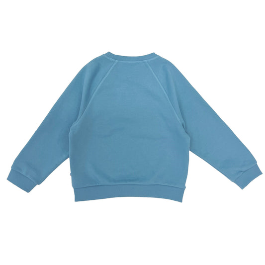 Boy's Elephant embroidery Raglan Sleeve pullover - My Little J
