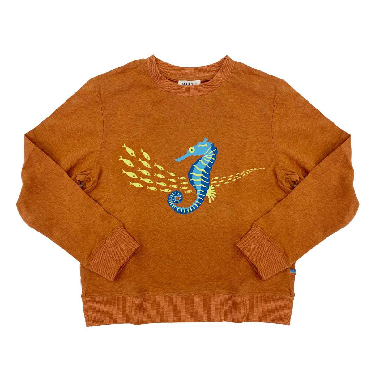 Boy's FW LS Knit Crew Neck with Seahorse  Print Tee - My Little J