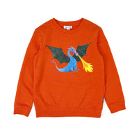 Boy's LS Knit Crew Neck Dragon Print Pullover