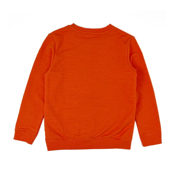 Boy's LS Knit Crew Neck Dragon Print Pullover
