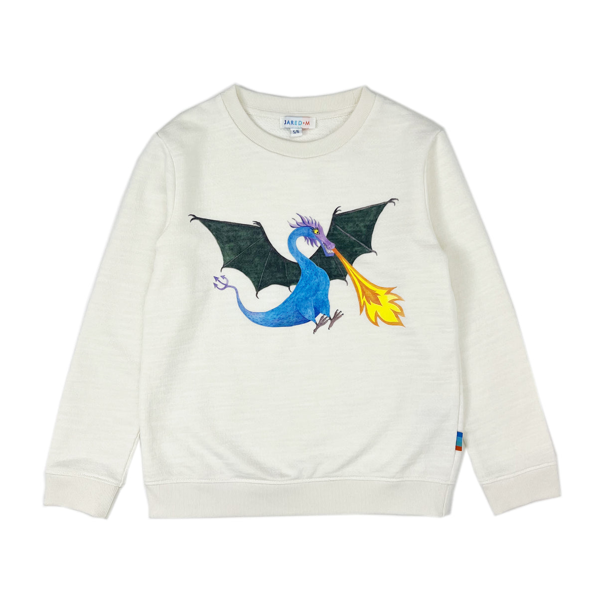 Boy's LS Knit Crew Neck Dragon Print Pullover - My Little J