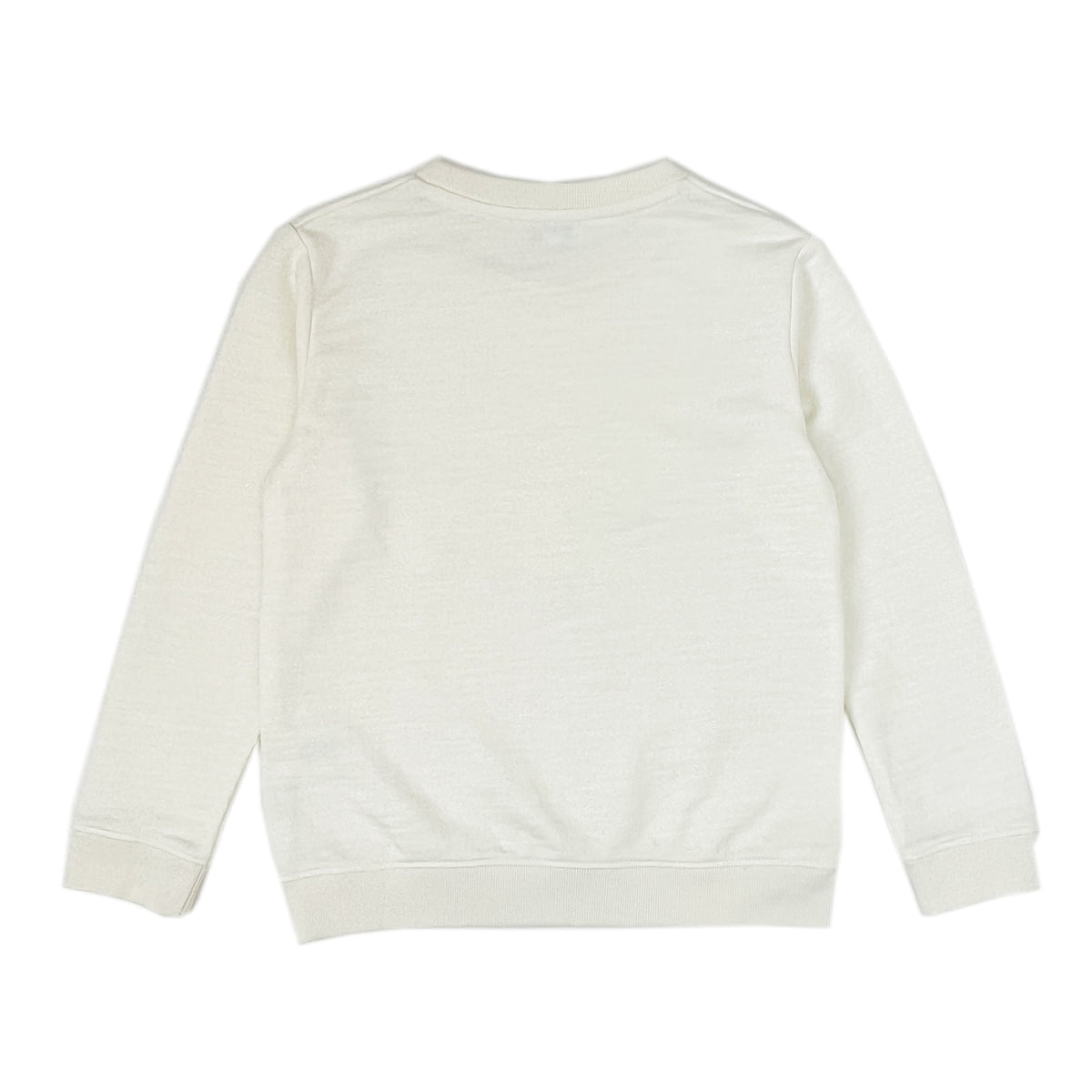 Boy's LS Knit Crew Neck Dragon Print Pullover