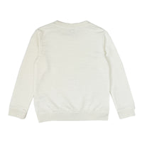 Boy's LS Knit Crew Neck Dragon Print Pullover