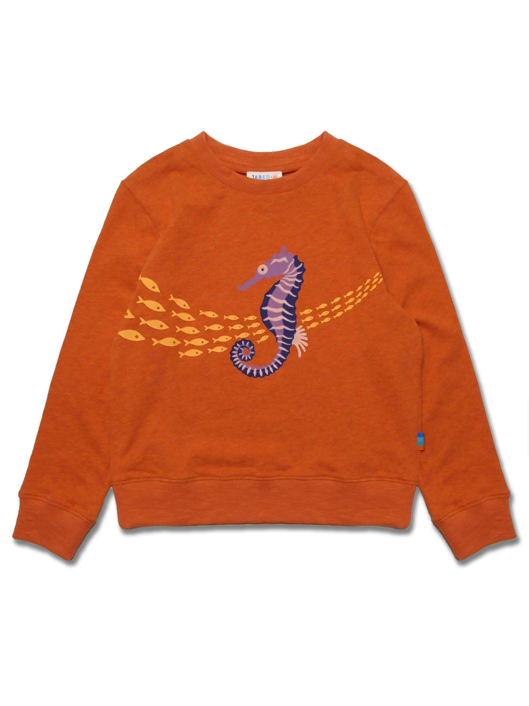 Girl LS Knit Crew Neck with Sea Horse Print - My Little J