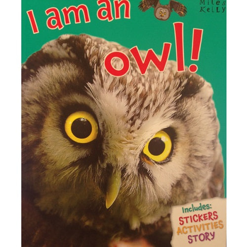 I Am An Owl - My Little J