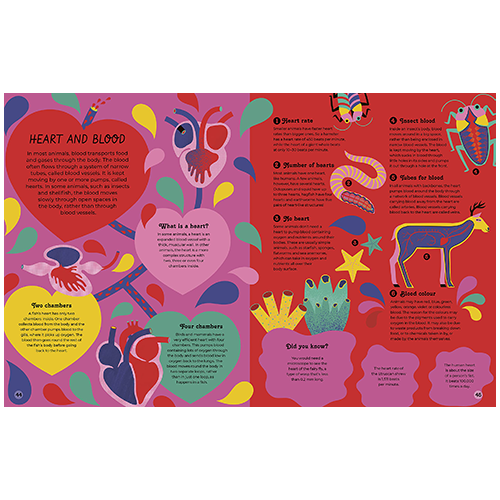Inside Animals