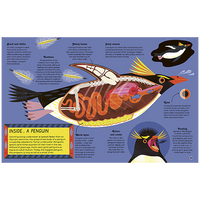 Inside Animals
