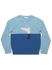 Boy's Merino Wool Jacquard Crew Sweater