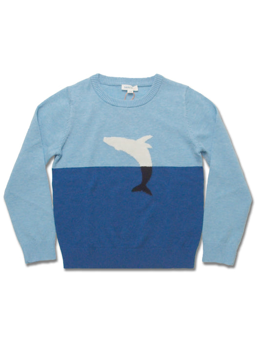 Boy's Merino Wool Jacquard Crew Sweater - My Little J
