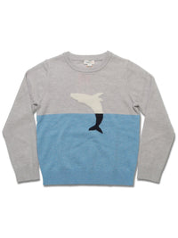 Boy's Merino Wool Jacquard Crew Sweater