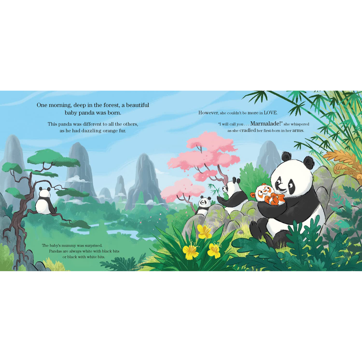Marmalade : The Orange Panda - My Little J
