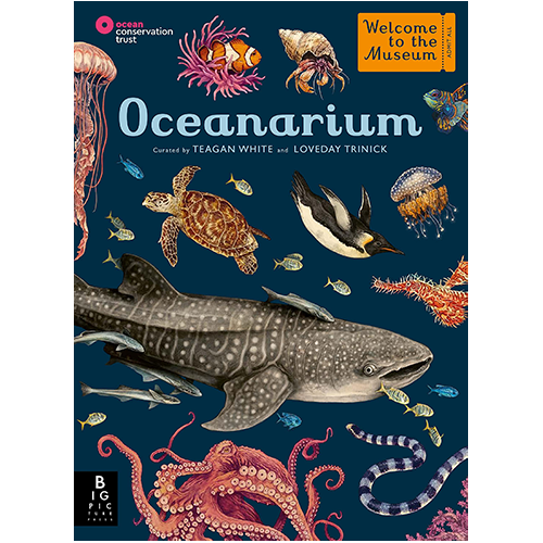 Oceanarium - My Little J