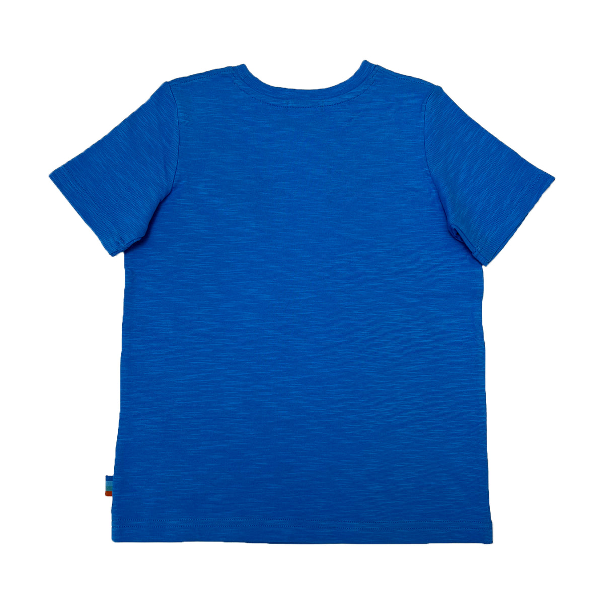 Boy's SS Crew Neck Tee with Dinosaur Print