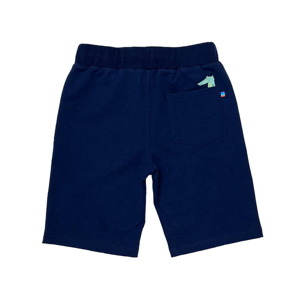 Boy's Knit Pull on  shorts with Crocodile and Bear  Print