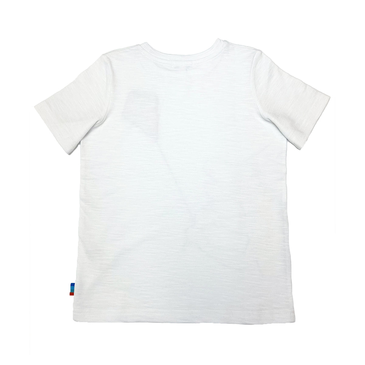 Boy's SS Crew Neck Tee with Dinosaur Print