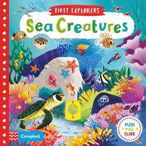 First Explorers : Sea Creatures - My Little J