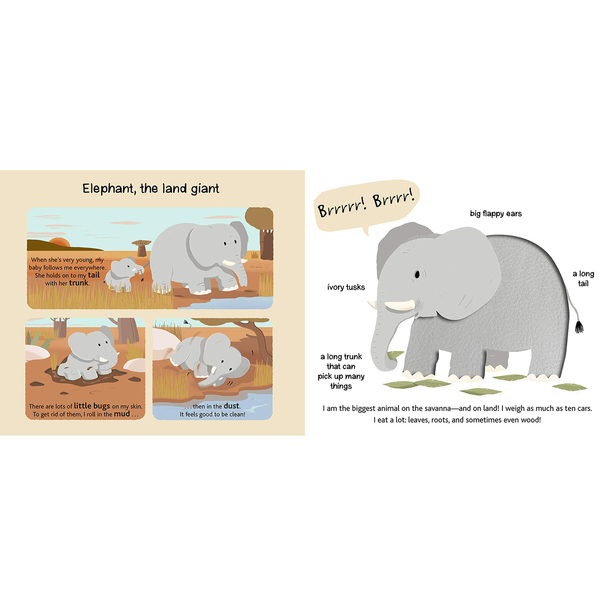 Touch and Explore: Safari - My Little J