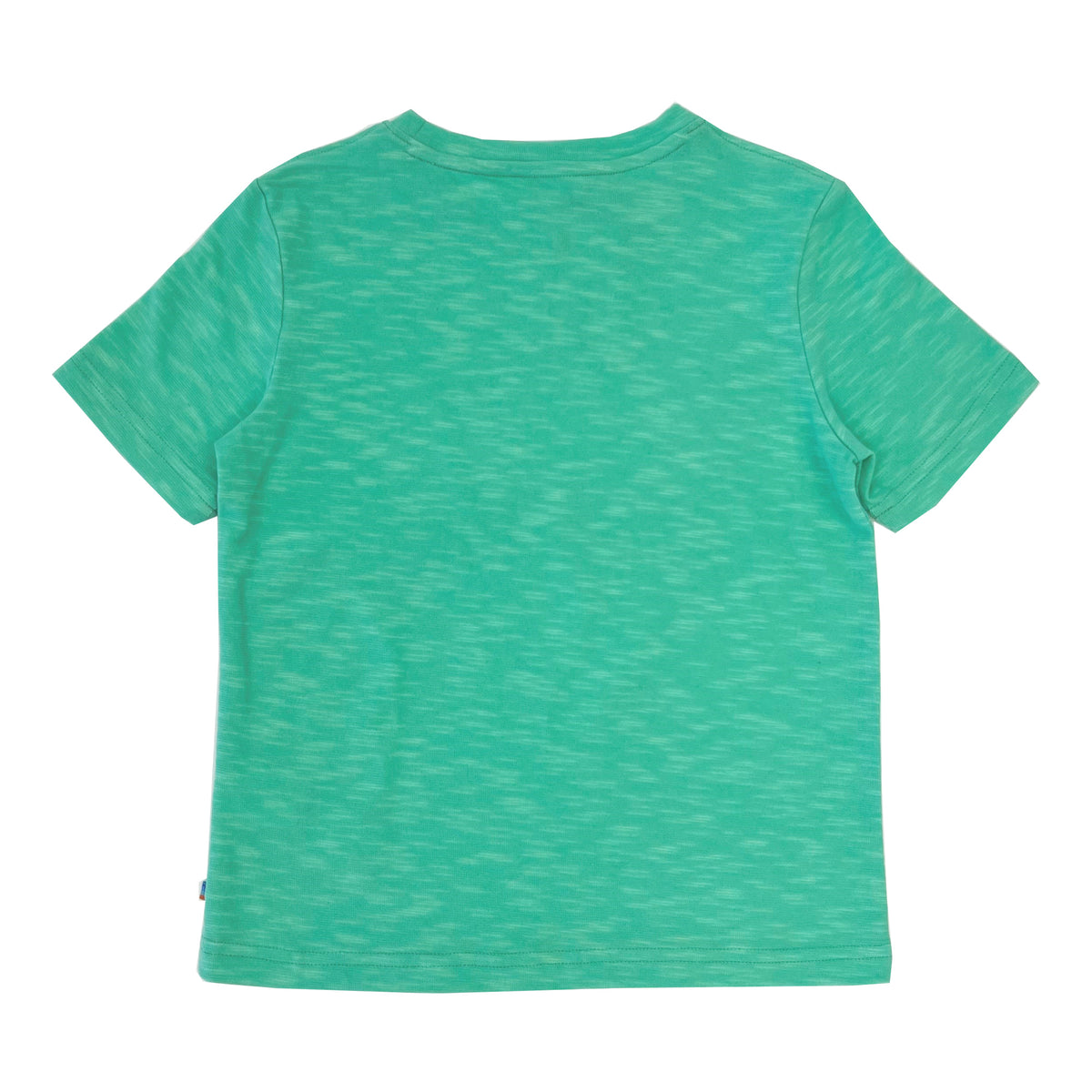 Boy's SS Crew Neck Swimming Dolphins Tee